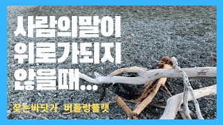 Birdlings flat  오이지 누를 돌은 핑계 l 속 답답할 때 찾는 힐링 플레이스 l 버들링스플랫 뉴질랜드 엘림튜브 [upl. by Rainie]