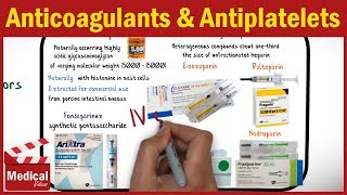 Microbiology  Antibiotics Mechanisms of Action [upl. by Horan260]