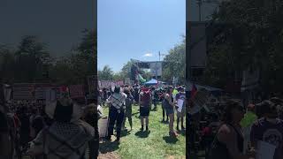 Protesters gather outside Democratic National Convention in Chicago [upl. by Mose]