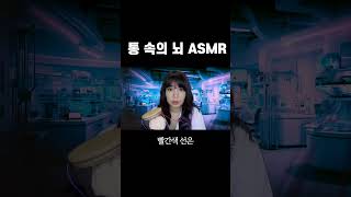 통 속의 뇌 ASMR [upl. by Ellehs202]