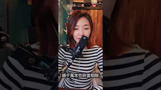 曾瑋中《必巡》Cover 黃丞芯Janice Huang [upl. by Noimad]