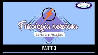 Fisiología Nerviosa 3  Sinapsis [upl. by Dionne873]