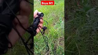 Boya M1 microphone shorts viral youtubeshorts gedgest [upl. by Lennon983]