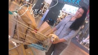 OMG SIE IST ES WIRKLICH Primark Schmuck Haul Teil 1 [upl. by Kalila]