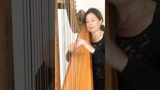 Beautiful Finale Pachelbel’s Canon in D on Harp 🎶 [upl. by Lidaa]