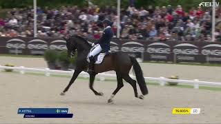 Grand Prix stallion Jovian amp Patrik Kittel [upl. by Sindee]