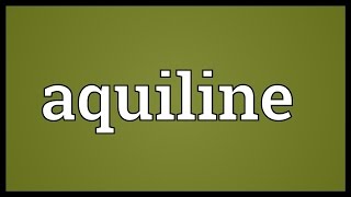 Aquiline Meaning [upl. by Kennett]