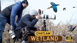 Chatlam Pampores largest wetland [upl. by Hras]