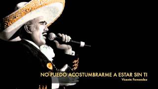 Vicente Fernandez  No Puedo Acostumbrarme A Estar Sin Ti [upl. by Aelaza]