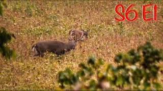 Season 6 Episode 1  2023 Illinois Deer Season [upl. by Ranip239]