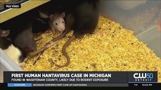 Michigan Confirms First Case Of Hantavirus [upl. by Nimar]