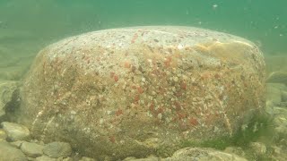 The Biggest and Best Puddingstone Ive Ever Found [upl. by Nabal440]