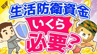 第79回 生活防衛資金はいくら貯めれば良いか？【お金の勉強 初級編】 [upl. by Newo]