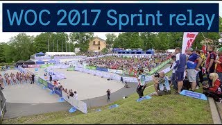 WOC 2017 Sprint relay [upl. by Pooi]