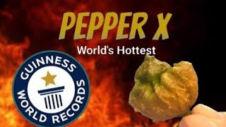 Pepper X Worlds Hottest Pepper [upl. by Klapp]