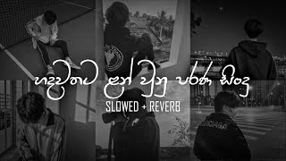 Nonstop old Sinhala Slowed  Reverb Song Collection  DEZTER BEATS [upl. by Koslo385]