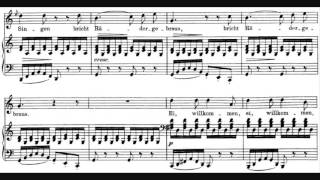 Franz Schubert  Die Schöne Müllerin [upl. by Weyermann]