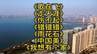 《歌在飞》《走天涯》《伤不起》《错错错》《雨花石》《中国美》《我想有个家》 [upl. by Oinigih801]