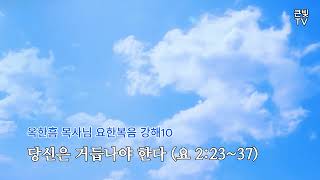 당신은 거듭나야 한다 중요한 설교 강추합니다 옥한흠 목사님 요한복음 강해10 요 22337  큰빛선교 정에밀리 박사 [upl. by Ttimme503]