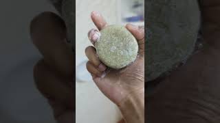 How to use a shampoo bar shorts SoapSquare [upl. by Yenetruoc]