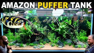 The Amazon Puffer Aquarium 4ft Planted Tank Aquascape Tutorial [upl. by Tallbot490]