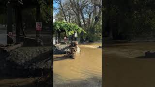 Vidéo de crue à Langeac le 18 Octobre [upl. by Gaidano]