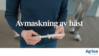 Avmaskning av häst [upl. by Garate]