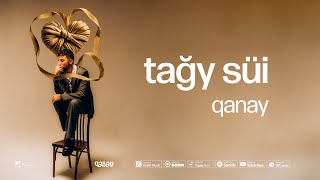 QANAY  Tağy süi  Тағы сүй Official Audio [upl. by Gerdy]