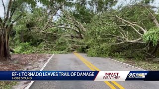 Confirmed tornado rips through Hobe Sound uprooting trees and damaging buildings [upl. by Tay531]