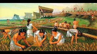 Historia y origen de la Agricultura  TvAgro por Juan Gonzalo Angel [upl. by Einnos194]