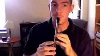 Tin Whistle Carmel Mahoneys [upl. by Hibben868]