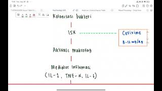 PATOFISIOLOGI GUS CASE 1 quotFIMOSISquot  ray [upl. by Ecienahs]