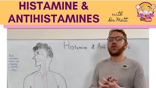 Histamine and Antihistamines Meds [upl. by Neisa465]