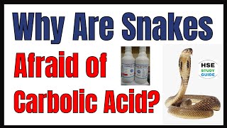 Why Are Snakes Afraid of Carbolic Acid  HSE STUDY GUIDE [upl. by Baras186]