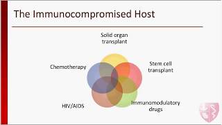 CIDRAP ASP  Antimicrobial Stewardship in Immunocompromised Patients Nov 8th 2017 [upl. by Atahs]