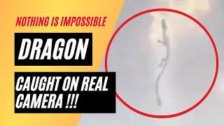 5 Chinese Dragon Caught on Camera amp Spotted in Real Life [upl. by Kalina675]