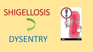 Shigellosis  Shigella dysentriae  Bacterial dysentry  MSc Medical Microbiology [upl. by Dyanna90]