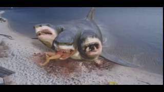 3 Headed Shark Attack VFX By Steve Clarke amp Paul Knott [upl. by Oninrutas]