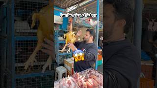 Jumbo size chicken ytshorts youtubeshorts zamampoultry viralvideo [upl. by Stevie493]