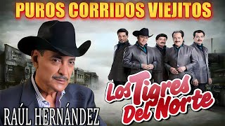 🌟🌟Raúl Hernández y Los Tigres del Norte ✨Viejitos 2024✨✨✨Mix Para Pistear 2024 [upl. by Fortunia]