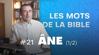 Pour lire la Bible suivez l’âne  Les mots de la Bible Ép 21 [upl. by Yrelbmik60]