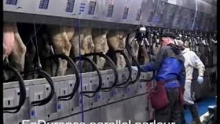 DeLaval EnDurance™ Parallel Parlour  Green Meadow Farms Michigan USA  DeLaval [upl. by Ailemap]