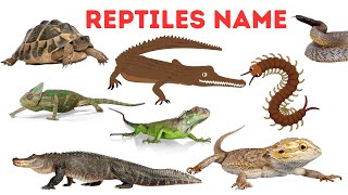 REPTILES  Reptiles Video For Kids  Reptiles Names Hindi amp English [upl. by Notrom]