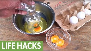 Fastest possible way to separate egg yolk [upl. by Shelley325]