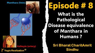 Episode  8 Sri Bharat Charitamrit Sindhu by Dr Shekhar Mayanil [upl. by Mast]