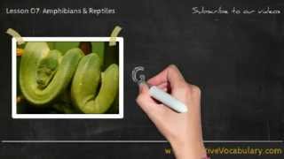 Amphibians amp Reptiles Vocabulary Picture Video Lesson  Learn List of Amphibians amp Reptiles  1 [upl. by Neeruan]