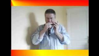 HARMONICA chromatique solo quot ROCK 1 quot [upl. by Raul]