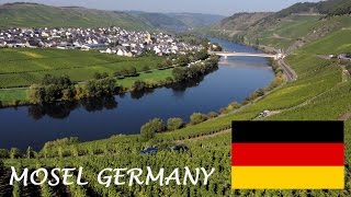 Mosel Wine tourism German Riesling Wine Moselle Valley Germany wines DeutschlandTourismus Travel [upl. by Nalat]