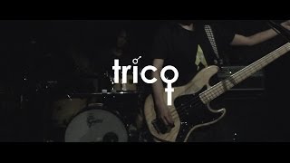 tricot  POOL Live at 19 East [upl. by Earleen]