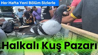 Yeni 28 Temmuz  Halkalı Kuş Pazarı [upl. by Nauht]